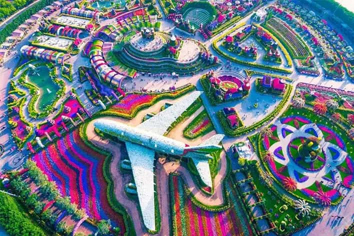 miracle garden