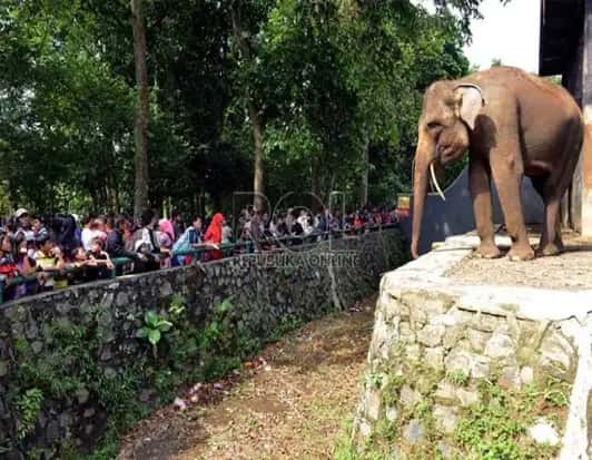 Ragunan Zoo