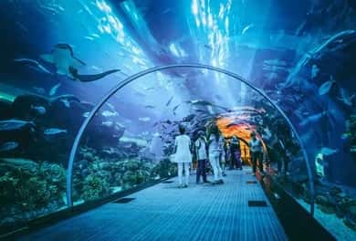 Kuala Lumpur Aquarium